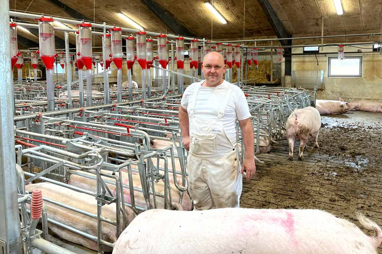 Farmer in a pig barn