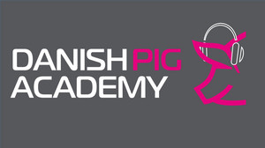 Four reasons why you should listen to PIG FACTS podcast:
