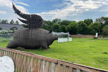 Tong Xiang Pork Showcase Farm in China Tong Xiang Pork Showcase Farm in China