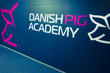 Danish Pig Academy
