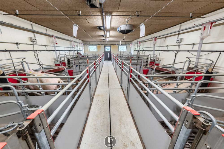Farrowing-pens