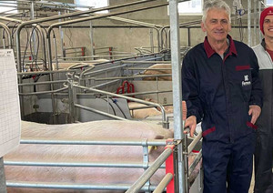 Culasso-brothers-in-the-farrowing-room