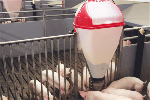 Tube O Mat Feeders