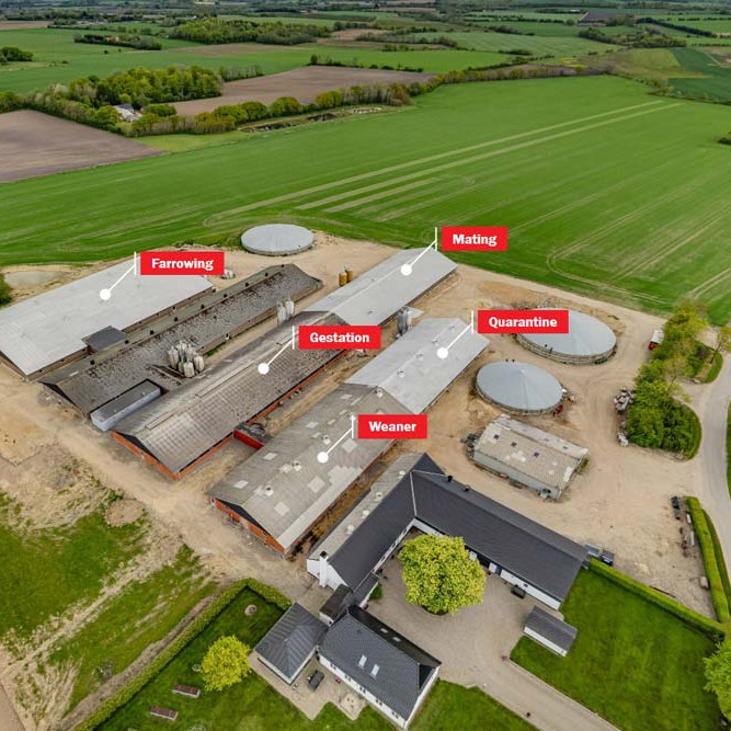 VR | 900 sows with 30 kg weaner production