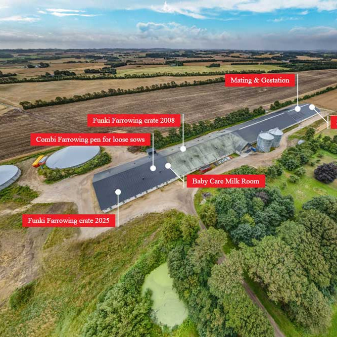 VR | 1900 sows with 7 kg weaner production