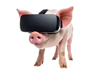 Firefly Pig-with-VR-googles