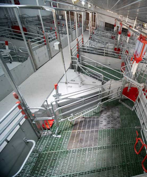 03-Welsafe-farrowing