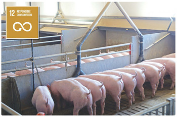 Managing Feed Waste in Pig Production Managing Feed Waste in Pig Production