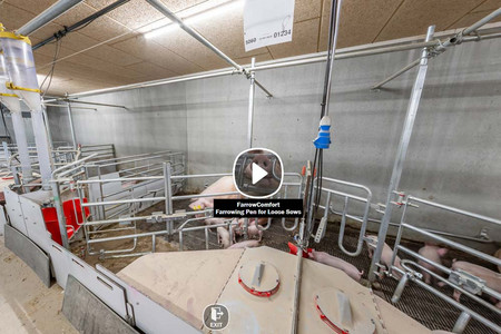 Farrowing