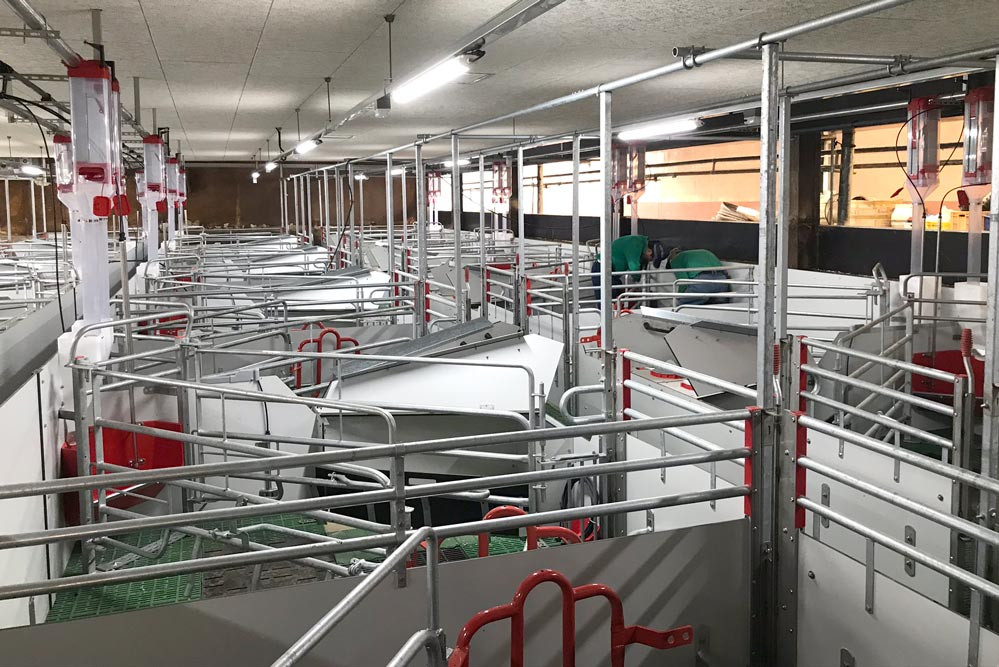 Welsafe farrowing pens stable overview