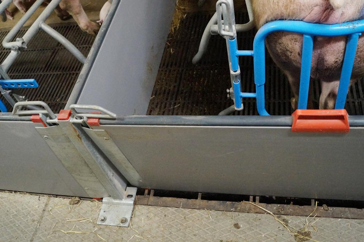 Tiltable rear door farrowing pen