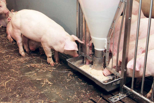 Tube O Mat Feeders