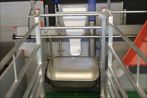 Ad-lib feeder for sows