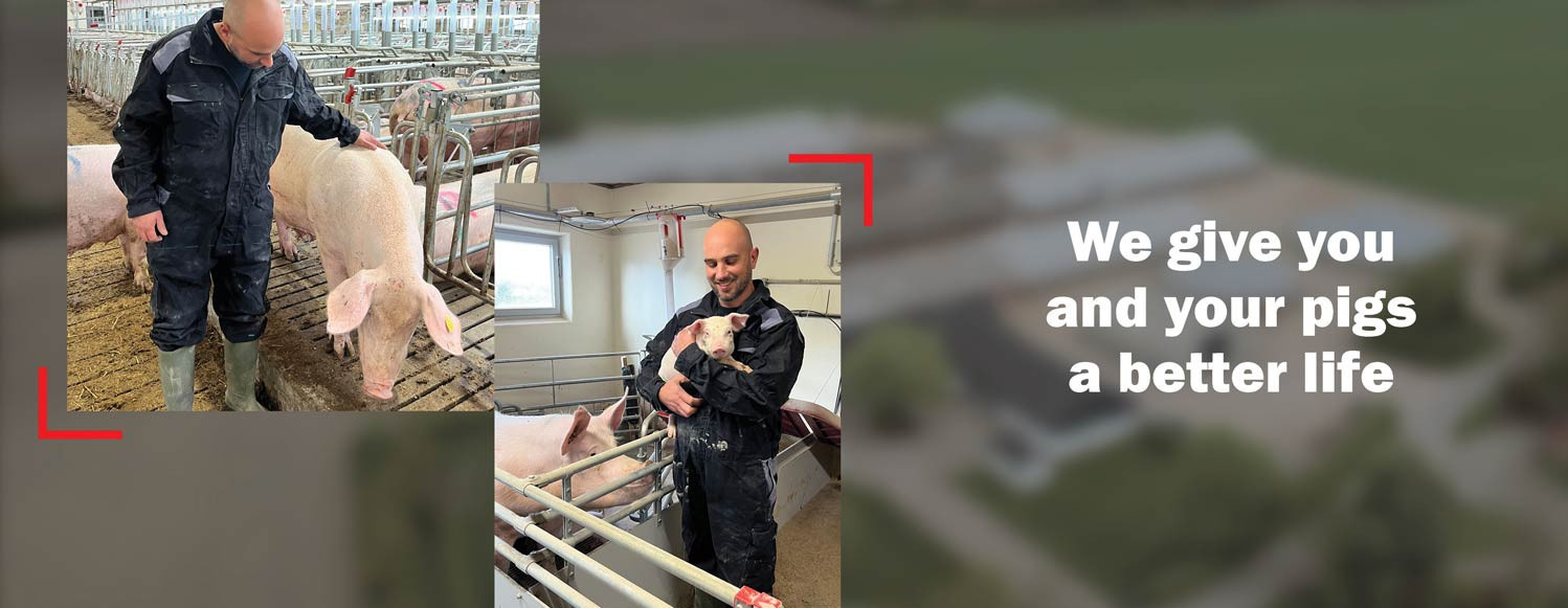 Modern technologies for pig farming