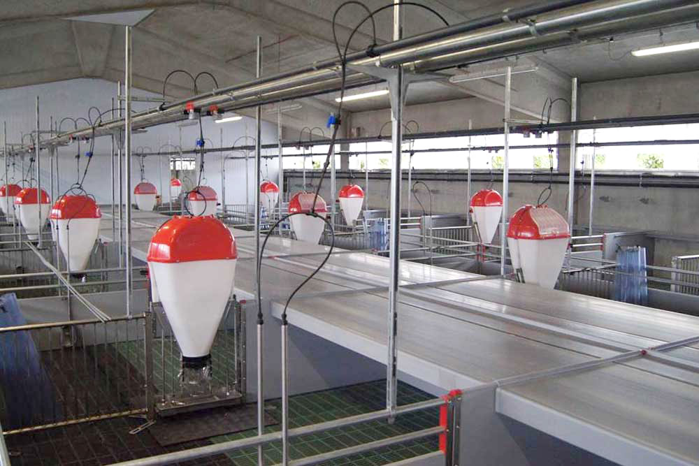 Weaner Unit Italy