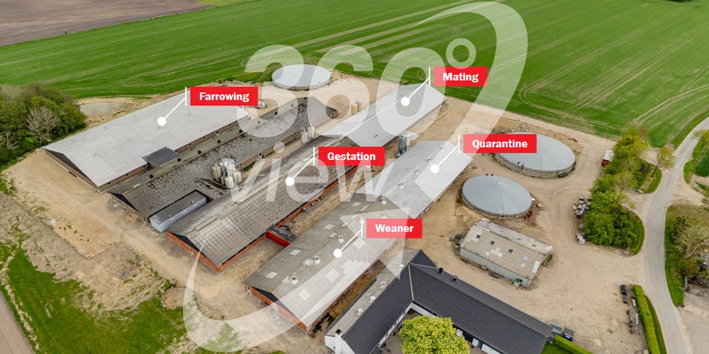 VR-tour: Danish pig farm