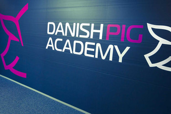 Danish Pig Academy