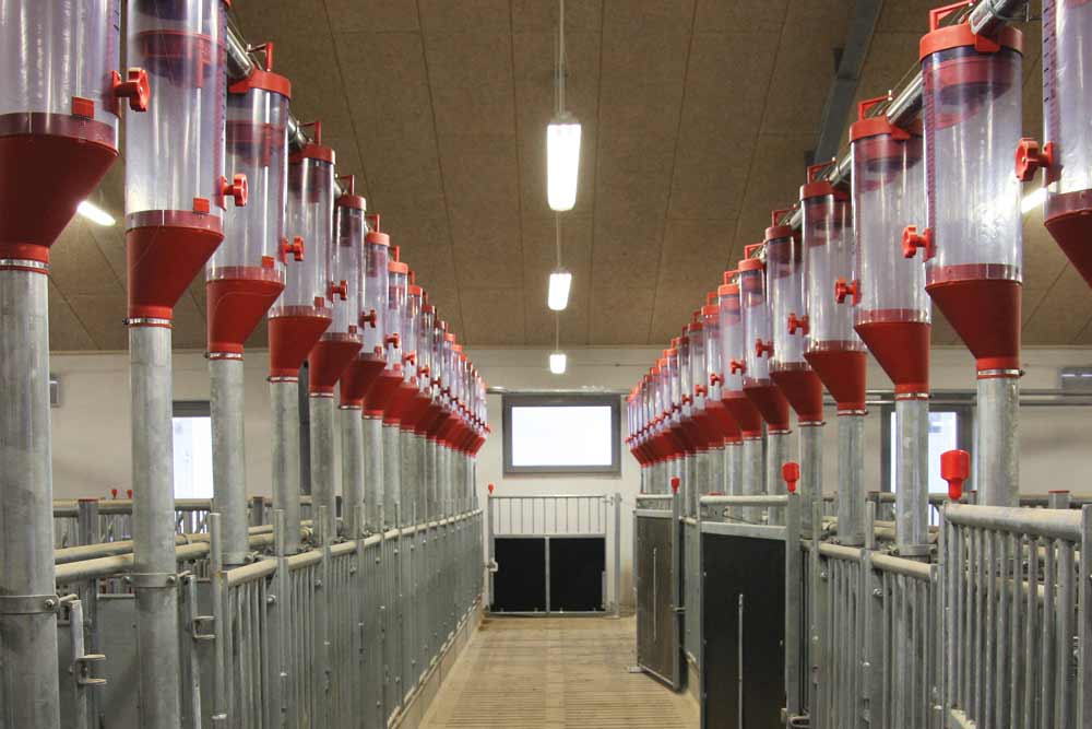 Feed Dispensers