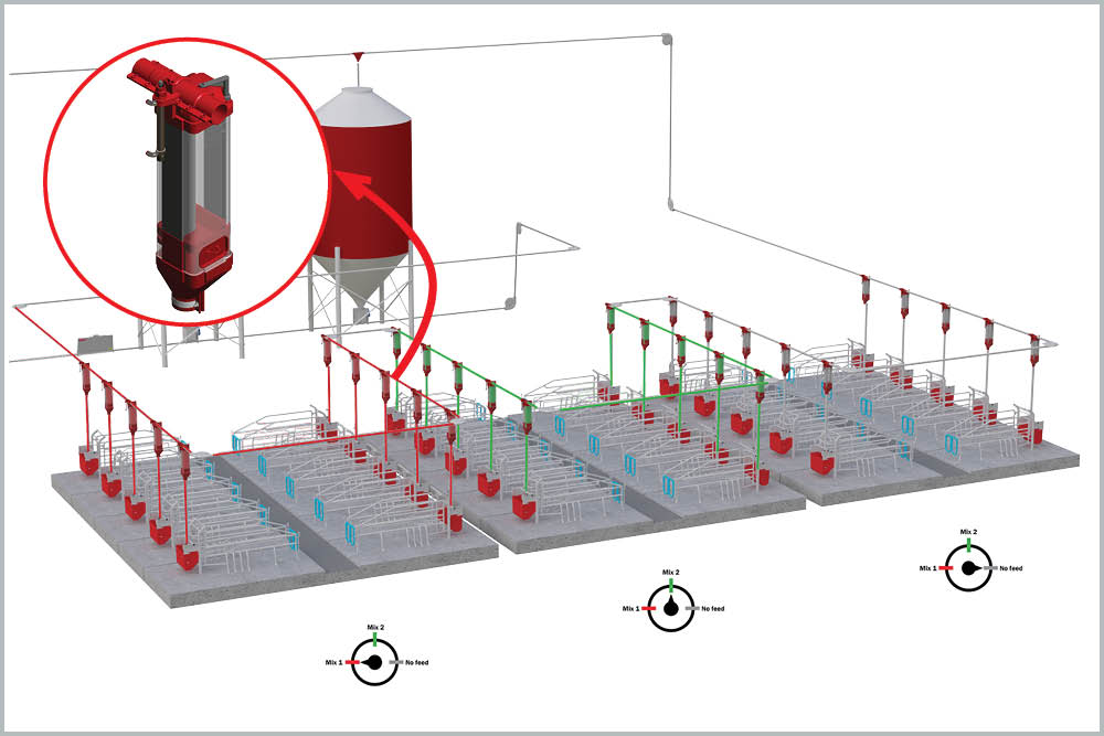 COLOR FEED GROUP: Phase feeding valve in a farrowing unit