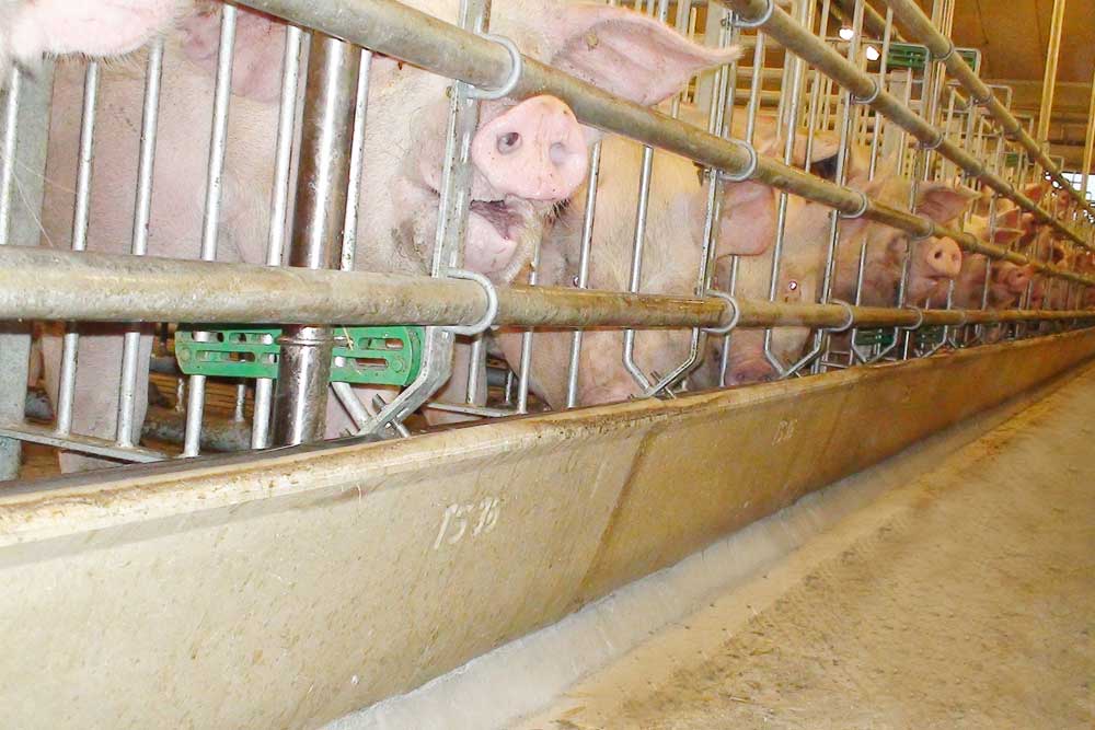 Troughs